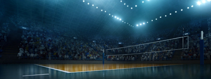 Voleybol Milletler Ligi